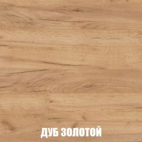 МСП-1 Шкаф 2-х створчатый (Дуб Золотой/Камень темный) в Стрежевом - strezevoi.mebel24.online | фото 4