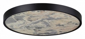 Накладной светильник Odeon Light Bergi 5064/50L в Стрежевом - strezevoi.mebel24.online | фото 3