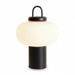 Настольная лампа декоративная Freya Take FR6175TL-L10B в Стрежевом - strezevoi.mebel24.online | фото