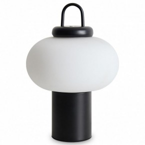 Настольная лампа декоративная Freya Take FR6175TL-L10B в Стрежевом - strezevoi.mebel24.online | фото 2