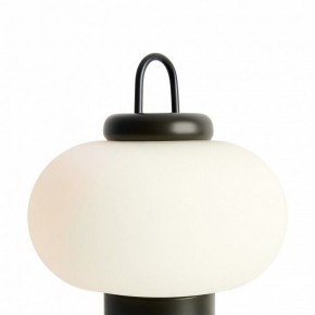 Настольная лампа декоративная Freya Take FR6175TL-L10B в Стрежевом - strezevoi.mebel24.online | фото 5