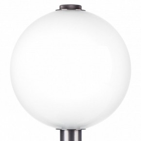 Настольная лампа декоративная Lightstar Colore 805916 в Стрежевом - strezevoi.mebel24.online | фото 6