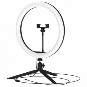 Настольная лампа кольцевая Gauss Ring Light RL003 в Стрежевом - strezevoi.mebel24.online | фото