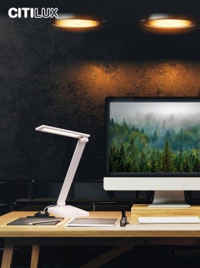 Настольная лампа офисная Citilux Ньютон CL803080 в Стрежевом - strezevoi.mebel24.online | фото 10
