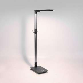 Настольная лампа офисная Elektrostandard Great a065290 в Стрежевом - strezevoi.mebel24.online | фото 3