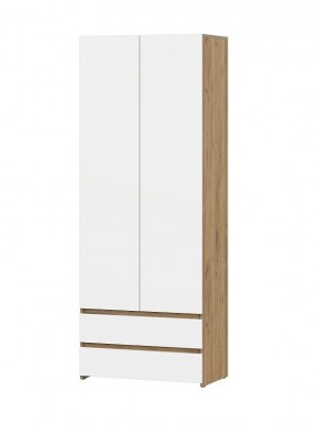 НЕКСТ 1 Шкаф двухстворчатый с ящиками в Стрежевом - strezevoi.mebel24.online | фото