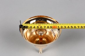 Подвесная люстра Aployt Daniele APL.701.03.12 в Стрежевом - strezevoi.mebel24.online | фото 6