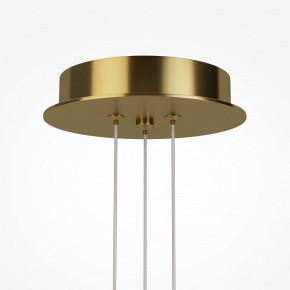 Подвесная люстра Maytoni Arana MOD401PL-L108BS3K в Стрежевом - strezevoi.mebel24.online | фото 7