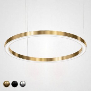 Подвесной светильник Imperiumloft Light Ring Horizontal 40.1454-120 в Стрежевом - strezevoi.mebel24.online | фото