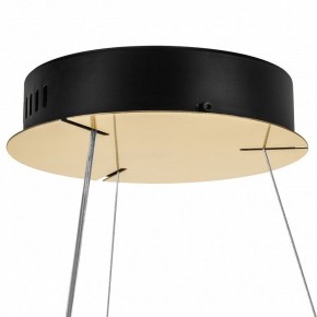 Подвесной светильник Lightstar Helio 703143 в Стрежевом - strezevoi.mebel24.online | фото 8