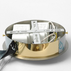 Подвесной светильник Lussole Citrus LSP-7158 в Стрежевом - strezevoi.mebel24.online | фото 6