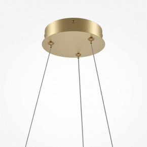 Подвесной светильник Maytoni Curve MOD241PL-L60BSK в Стрежевом - strezevoi.mebel24.online | фото 6