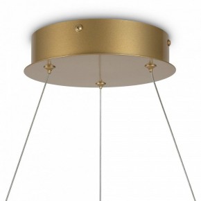 Подвесной светильник Maytoni Halo MOD100PL-L88BSK1 в Стрежевом - strezevoi.mebel24.online | фото 6