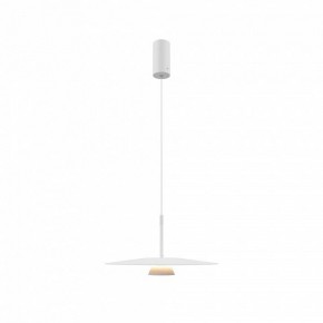 Подвесной светильник Maytoni Platte MOD352PL-L10W3K в Стрежевом - strezevoi.mebel24.online | фото 4