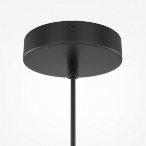 Подвесной светильник Maytoni Roots MOD194PL-01W1 в Стрежевом - strezevoi.mebel24.online | фото 5