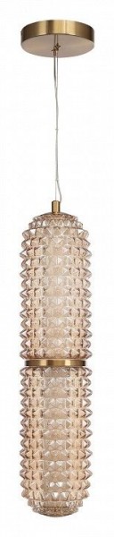 Подвесной светильник ST-Luce SAGUARO SL6144.303.01 в Стрежевом - strezevoi.mebel24.online | фото 3