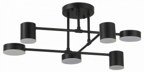 Потолочная люстра EVOLUCE Nobel SLE201042-06 в Стрежевом - strezevoi.mebel24.online | фото 11