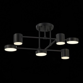 Потолочная люстра EVOLUCE Nobel SLE201042-06 в Стрежевом - strezevoi.mebel24.online | фото 13