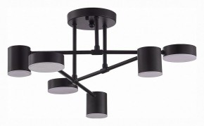 Потолочная люстра EVOLUCE Nobel SLE201042-06 в Стрежевом - strezevoi.mebel24.online | фото 3
