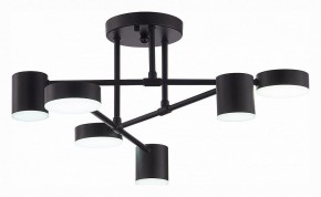 Потолочная люстра EVOLUCE Nobel SLE201042-06 в Стрежевом - strezevoi.mebel24.online | фото 5