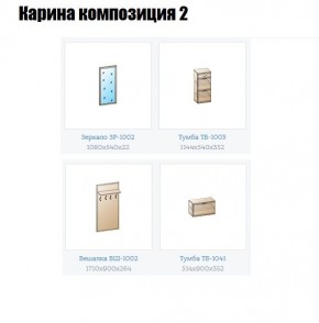 Прихожая Карина (модульная) в Стрежевом - strezevoi.mebel24.online | фото 6