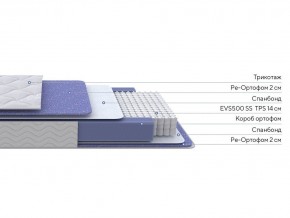 PROxSON Матрас Active F (Ткань Трикотаж Эко) 80x190 в Стрежевом - strezevoi.mebel24.online | фото 2