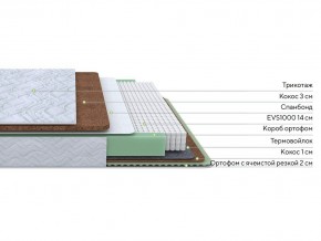 PROxSON Матрас Green Duo M/F (Tricotage Dream) 90x190 в Стрежевом - strezevoi.mebel24.online | фото 3