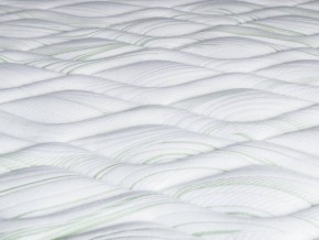 PROxSON Матрас Green F (Tricotage Dream) 80x210 в Стрежевом - strezevoi.mebel24.online | фото 3