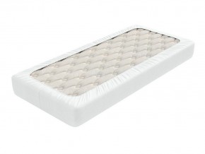 PROxSON Защитный чехол Aqua Save Light S (Ткань влагостойкая Tencel Jersey) 120x200 в Стрежевом - strezevoi.mebel24.online | фото 2