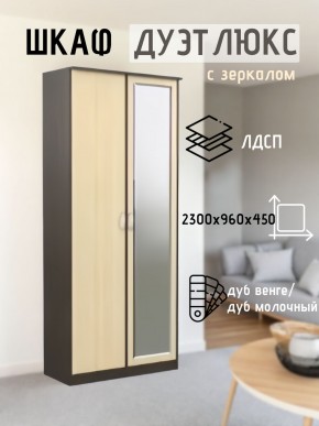 Шкаф 2-х створчатый Дуэт Люкс с зеркалом в Стрежевом - strezevoi.mebel24.online | фото
