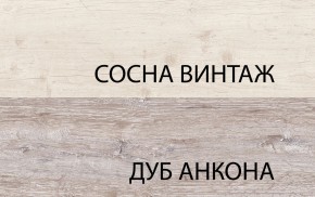 Шкаф 2DG2S, MONAKO, цвет Сосна винтаж/дуб анкона в Стрежевом - strezevoi.mebel24.online | фото