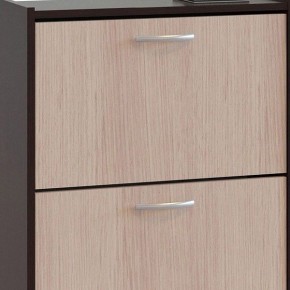 Шкаф для обуви ТО-24 в Стрежевом - strezevoi.mebel24.online | фото 4