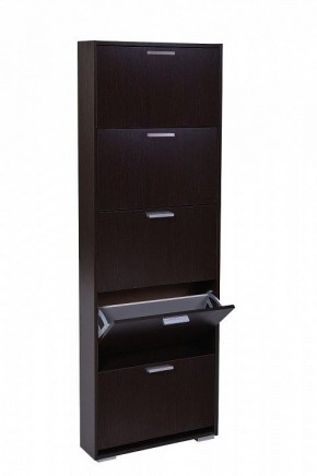 Шкаф для обуви УК-5 10000130 в Стрежевом - strezevoi.mebel24.online | фото