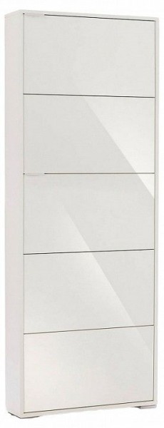 Шкаф для обуви Viva-5S в Стрежевом - strezevoi.mebel24.online | фото