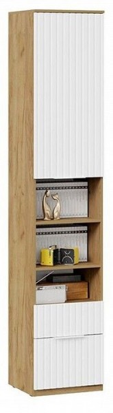 Шкаф комбинированный Хилтон Исп. 2 в Стрежевом - strezevoi.mebel24.online | фото 4