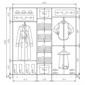 Шкаф-купе ХИТ 22-4-20-222 (420) в Стрежевом - strezevoi.mebel24.online | фото 2