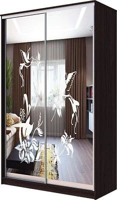 Шкаф-купе ХИТ 23-4-12/2-66 КОЛИБРИ в Стрежевом - strezevoi.mebel24.online | фото