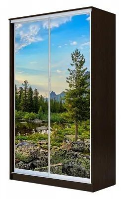 Шкаф-купе ХИТ 23-4-17-77 ПРИРОДА в Стрежевом - strezevoi.mebel24.online | фото