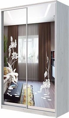Шкаф-купе ХИТ 24-14-66 ЦАПЛИ в Стрежевом - strezevoi.mebel24.online | фото