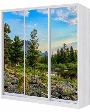 Шкаф-купе ХИТ 24-18/2-777 ПРИРОДА в Стрежевом - strezevoi.mebel24.online | фото