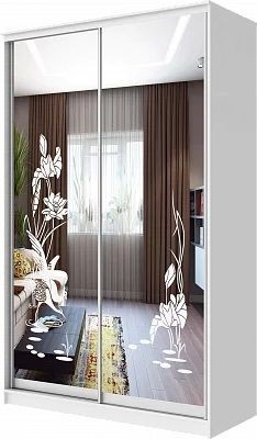 Шкаф-купе ХИТ 24-4-12-66 ЦАПЛИ в Стрежевом - strezevoi.mebel24.online | фото