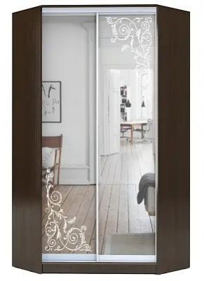 Шкаф-купе ХИТ-У-R-22-64-66 ОРНАМЕНТ в Стрежевом - strezevoi.mebel24.online | фото