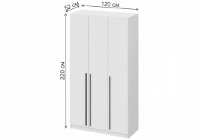 Шкаф платяной Бирма ШК-1200 в Стрежевом - strezevoi.mebel24.online | фото 4