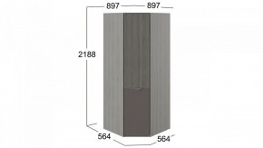 Шкаф платяной Либерти СМ-297.07.033 в Стрежевом - strezevoi.mebel24.online | фото 3