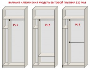 Шкаф распашной серия «ЗЕВС» (PL3/С1/PL2) Серый камень/Небраска натуральный в Стрежевом - strezevoi.mebel24.online | фото 5