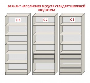 Шкаф распашной серия «ЗЕВС» (PL3/С1/PL2) Серый камень/Небраска натуральный в Стрежевом - strezevoi.mebel24.online | фото 6