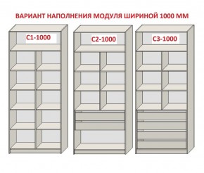 Шкаф распашной серия «ЗЕВС» (PL3/С1/PL2) Серый камень/Небраска натуральный в Стрежевом - strezevoi.mebel24.online | фото 7