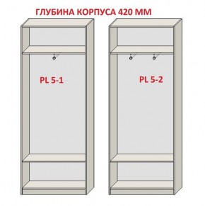 Шкаф распашной серия «ЗЕВС» (PL3/С1/PL2) Серый камень/Небраска натуральный в Стрежевом - strezevoi.mebel24.online | фото 8
