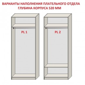 Шкаф распашной серия «ЗЕВС» (PL3/С1/PL2) Серый камень/Небраска натуральный в Стрежевом - strezevoi.mebel24.online | фото 9
