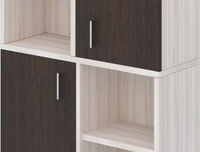 Стеллаж комбинированный Домино ПУ-30-2 в Стрежевом - strezevoi.mebel24.online | фото 2